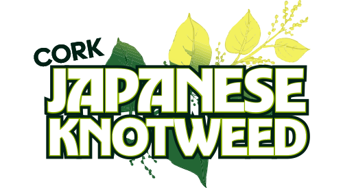 Cork Japanese Knotweed Ie
